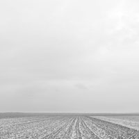 Winterland